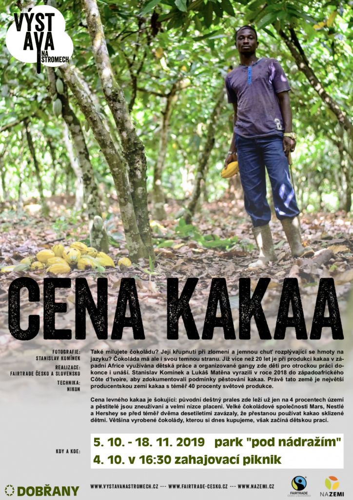 Cena kakaa